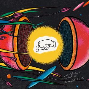 直接观看黄网站免费视频
