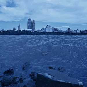 直接观看黄网站免费视频
